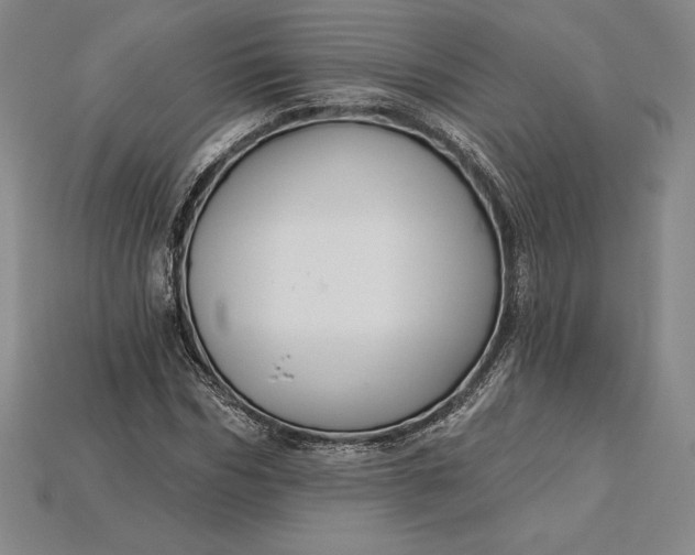 X0000115200970200911121839