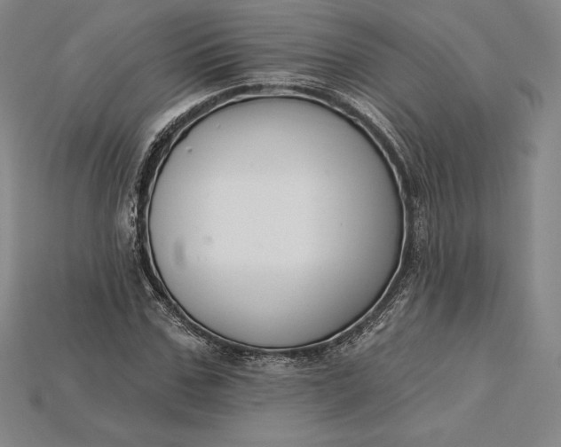 X0000115200971200911121839