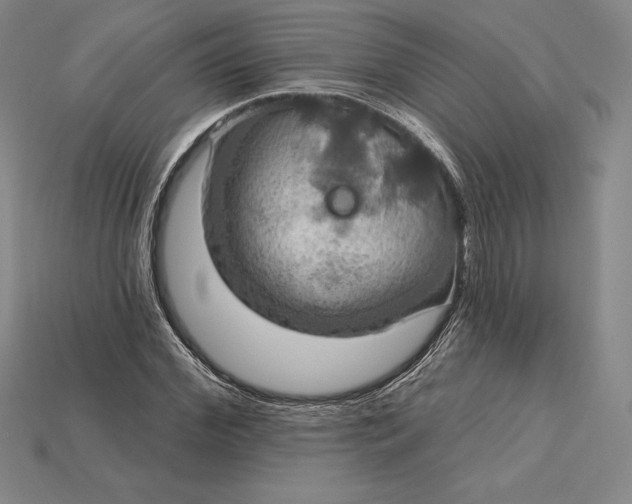 X0000115200972200911121839