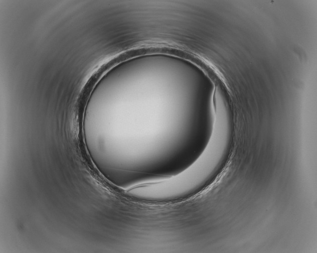 X0000115200973200911121838