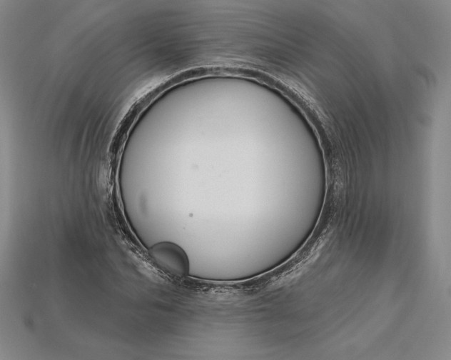 X0000115200974200911121838