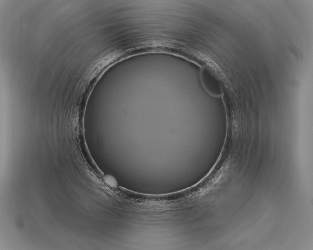 X0000115200977200911121838