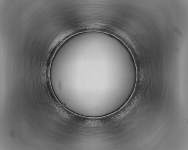 X0000115200978200911121838