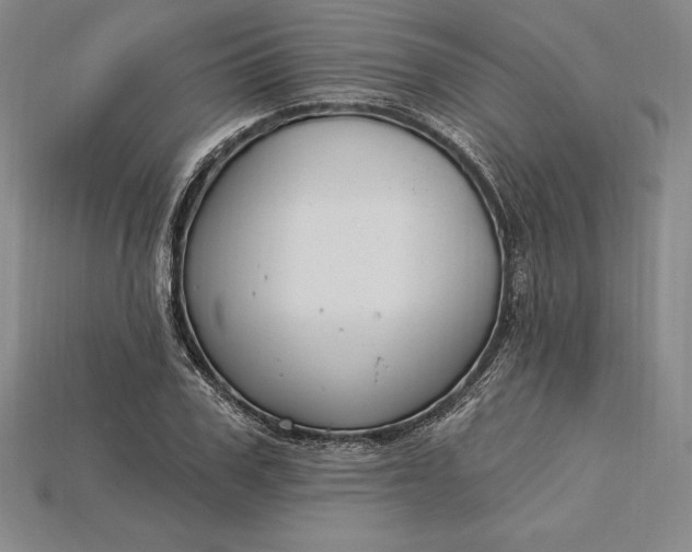 X0000115200979200911121838