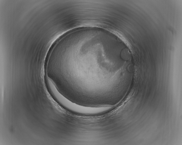 X0000115200980200911121838