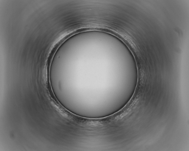 X0000115200982200911121838