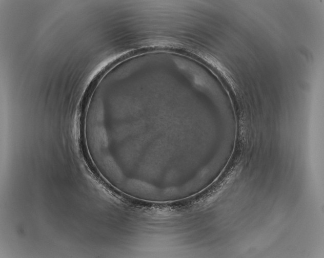 X0000115200983200911121838