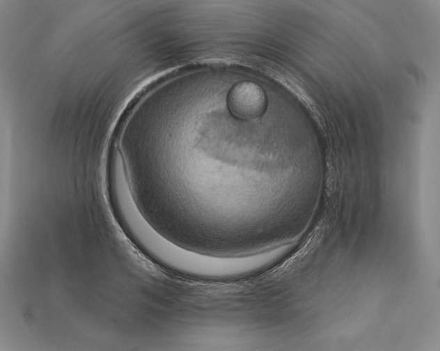 X0000115200984200911121838