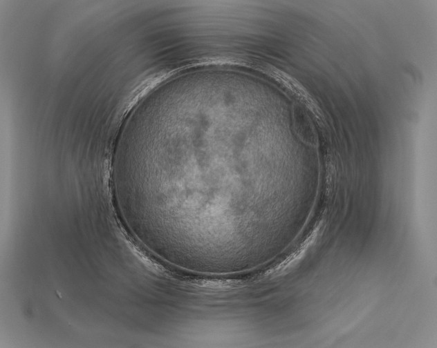 X0000115200985200911121838