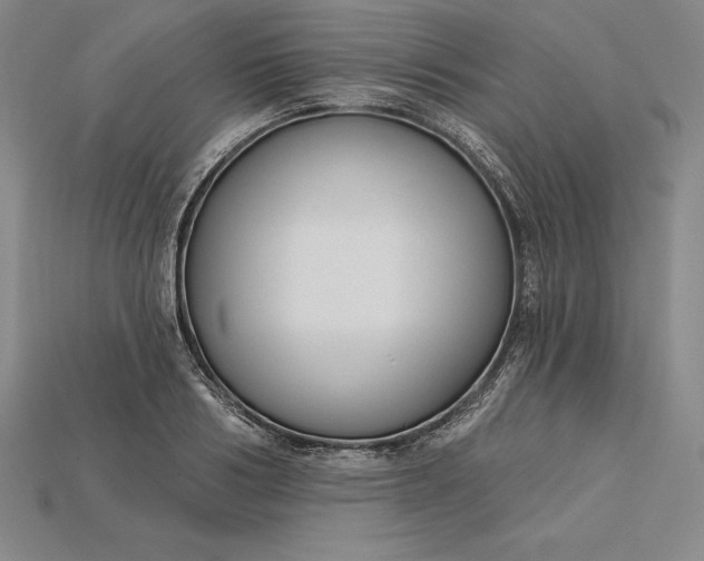 X0000115200986200911121838