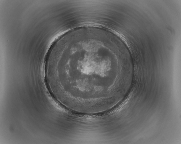 X0000115200987200911121838