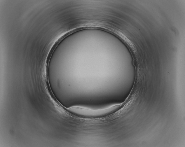 X0000115200988200911121838