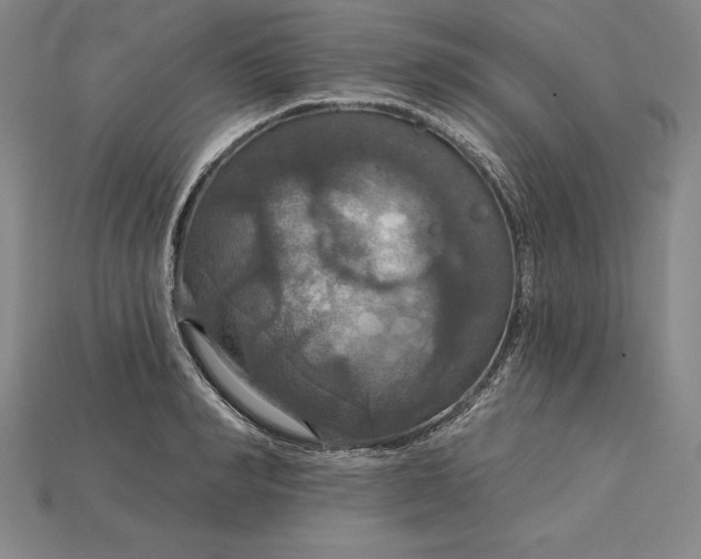 X0000115200990200911121838