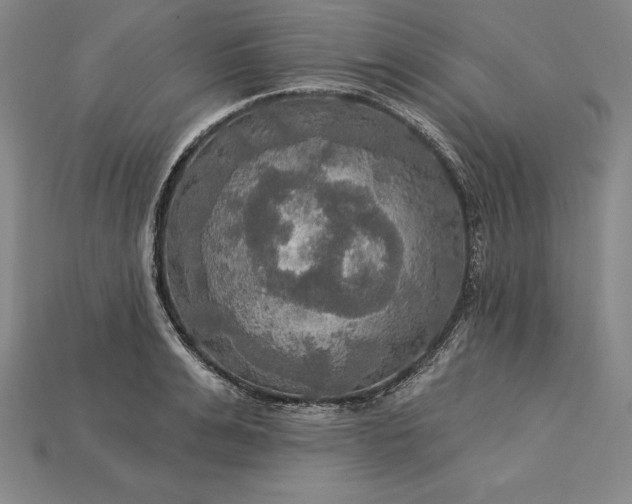 X0000115200991200911121838