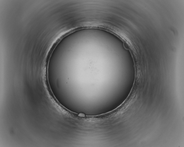 X0000115200992200911121838