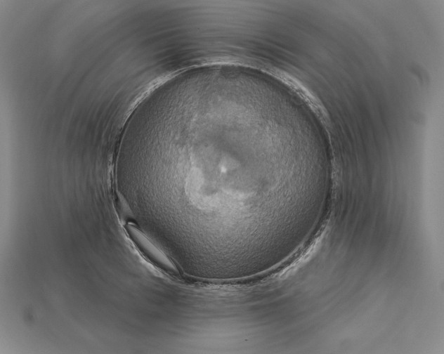 X0000115200993200911121838
