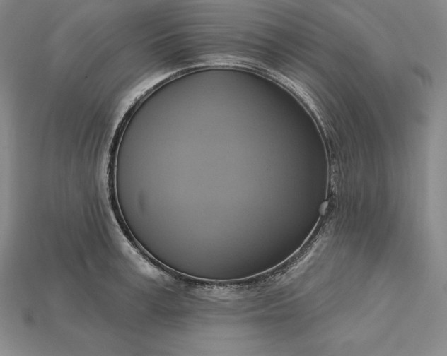 X0000115200995200911121838