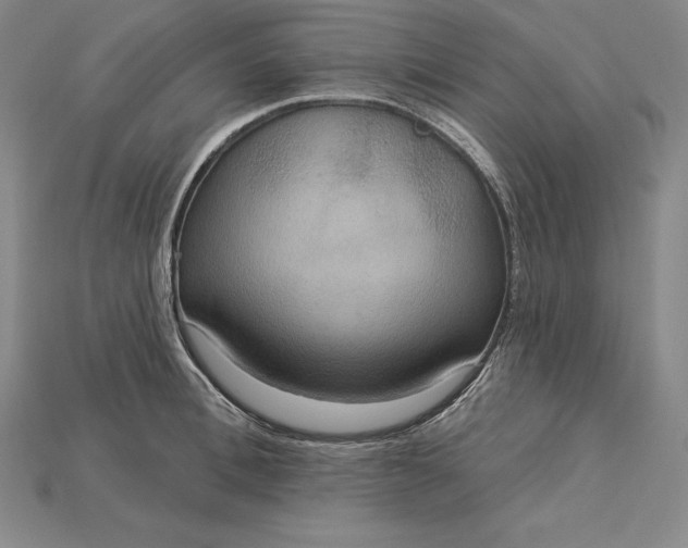X0000115200996200911121838
