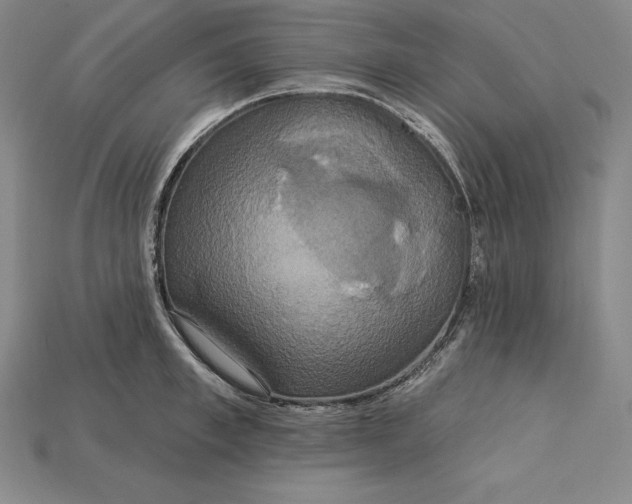 X0000115200997200911121838