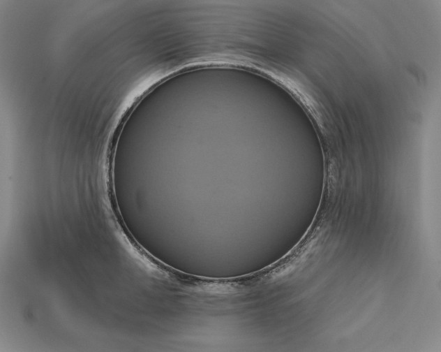 X0000115200998200911121838