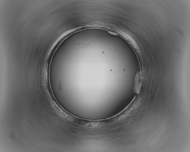 X0000115201000200911121838