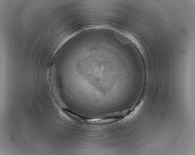 X0000115201001200911121838