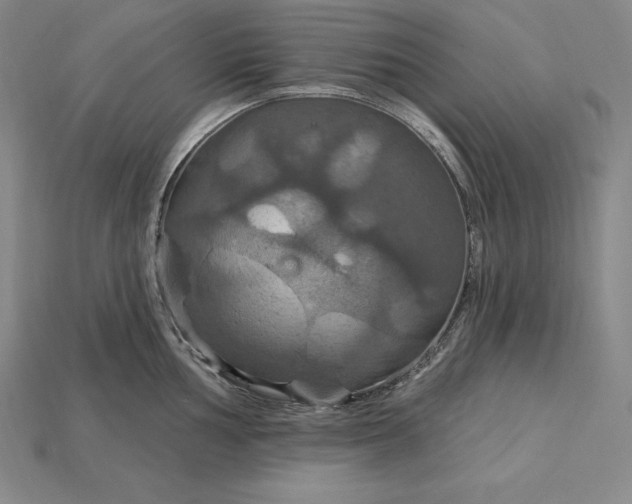X0000115201002200911121838