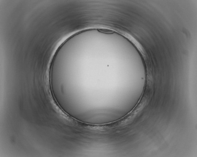 X0000115201004200911121838