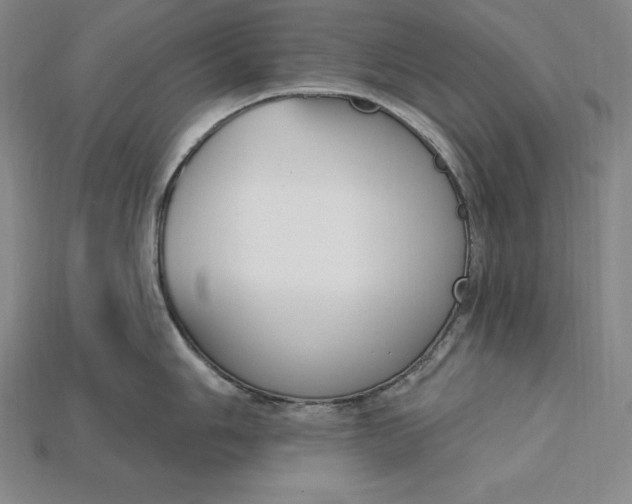X0000115201006200911121838