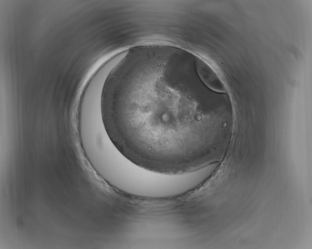 X0000115201008200911121838