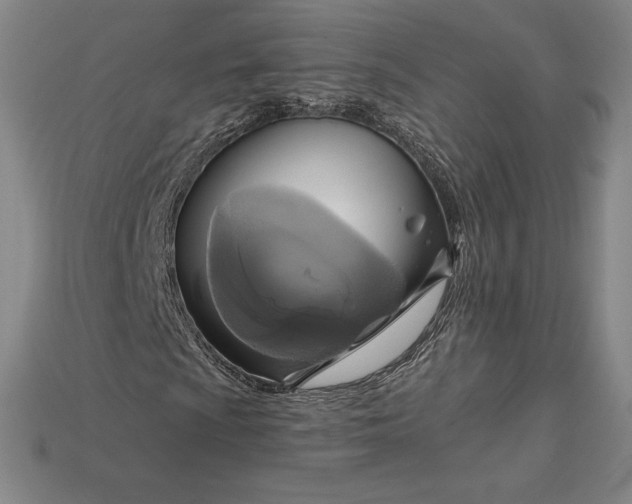 X0000115201009200911121837