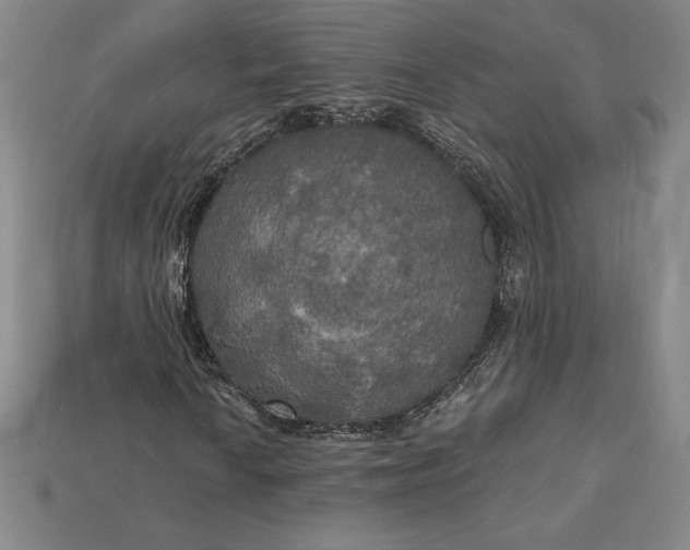 X0000115201010200911121837