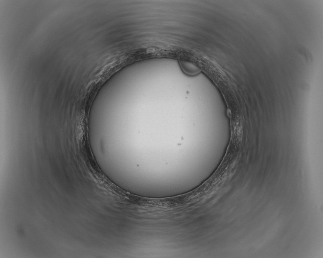 X0000115201012200911121837