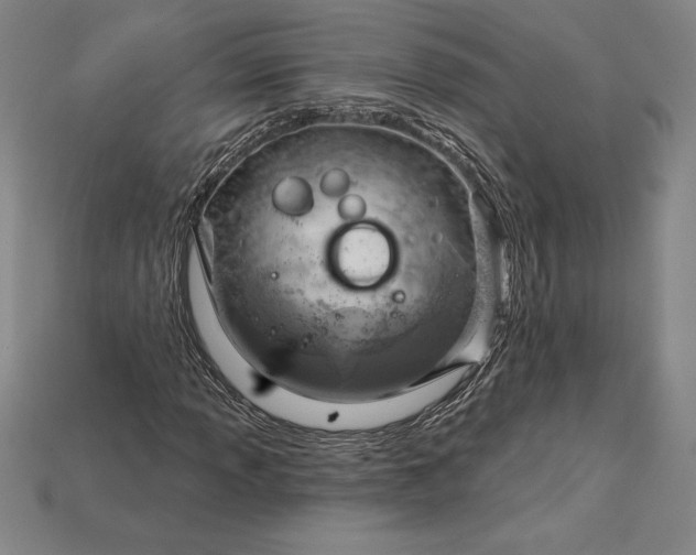 X0000115201013200911121837