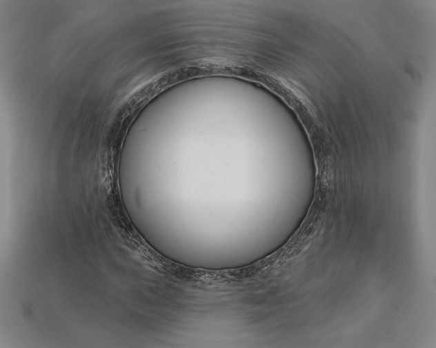 X0000115201015200911121838