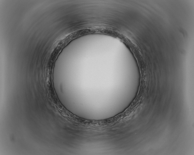 X0000115201016200911121838