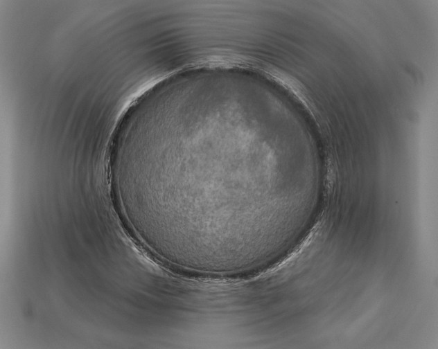 X0000115201018200911121838