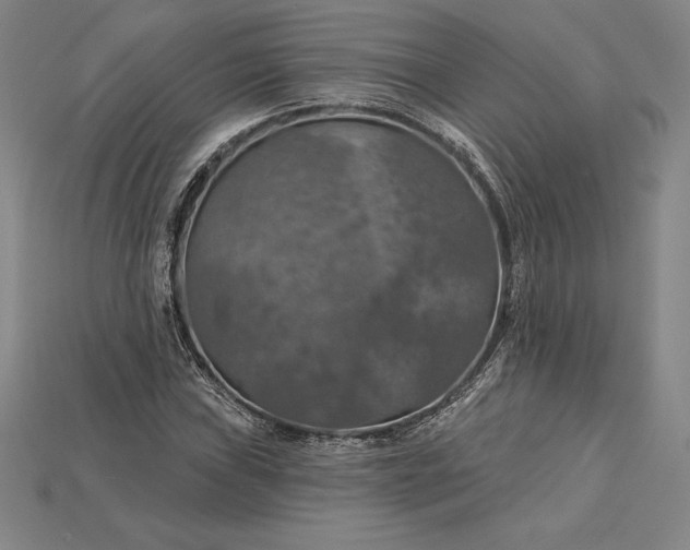 X0000115201019200911121838
