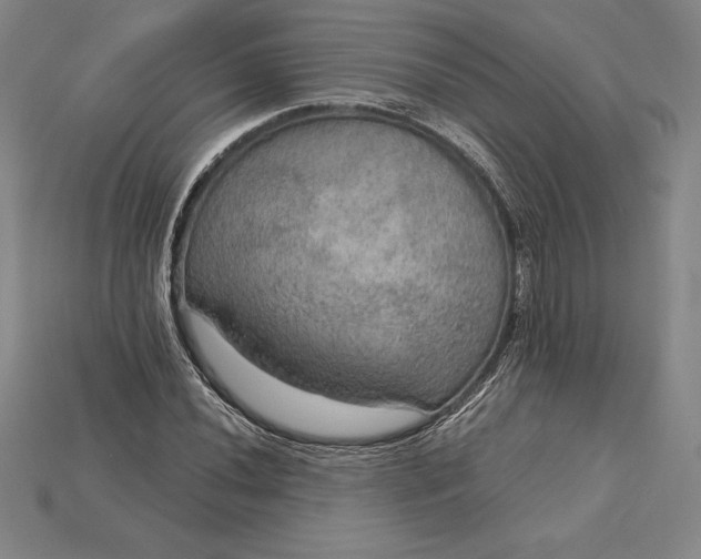 X0000115201020200911121838