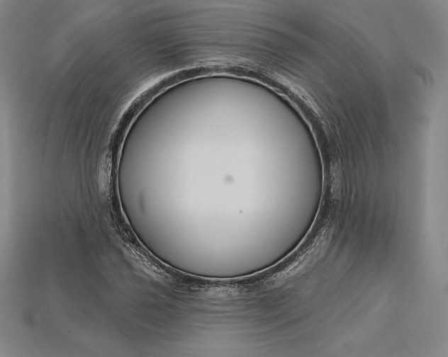 X0000115201021200911121838