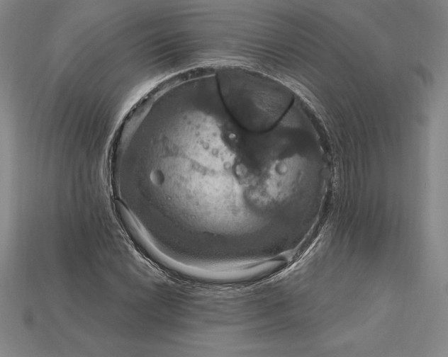X0000115201022200911121838