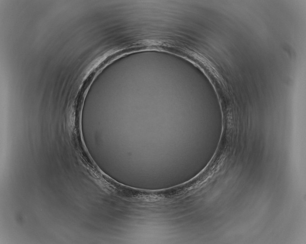 X0000115201023200911121838