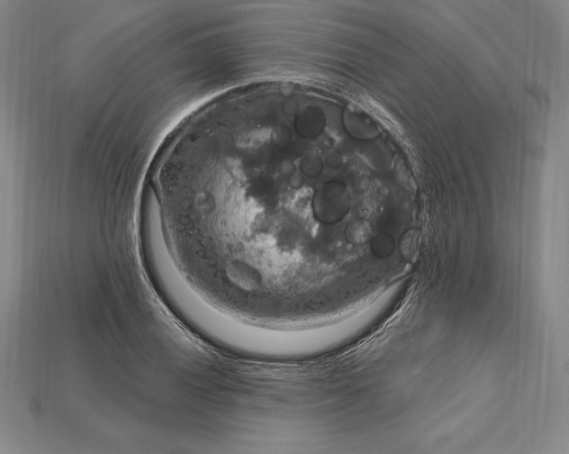 X0000115201028200911121838