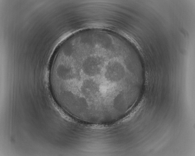 X0000115201029200911121838