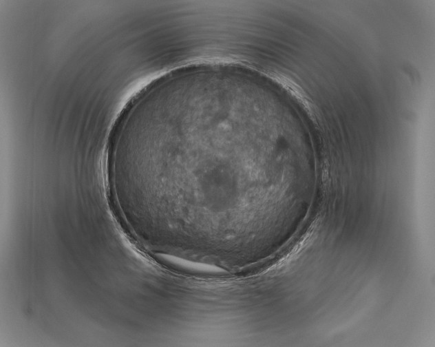 X0000115201030200911121838
