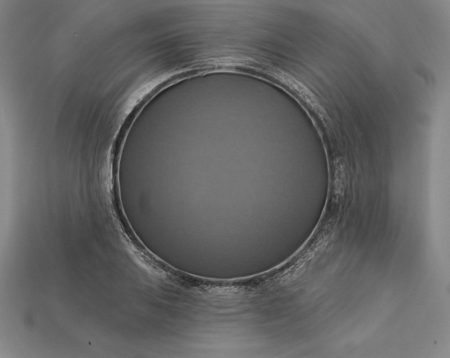 X0000115201031200911121838
