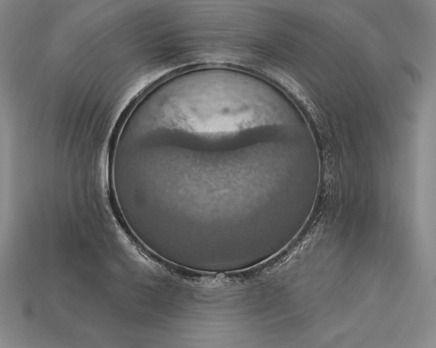 X0000115201032200911121838