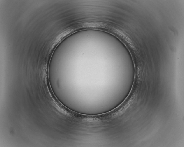 X0000115201033200911121838