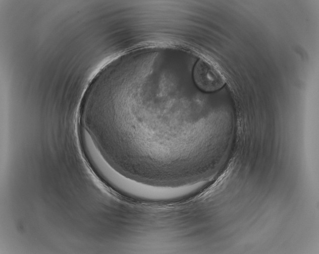 X0000115201034200911121838