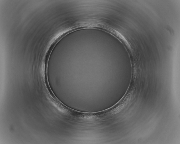 X0000115201035200911121838